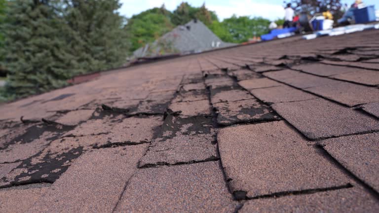 Best Emergency Roof Repair Services  in Las Flores, CA