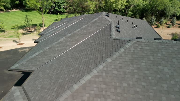 Best Chimney Flashing Repair  in Las Flores, CA