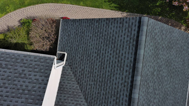 Best Skylight Installation and Repair  in Las Flores, CA