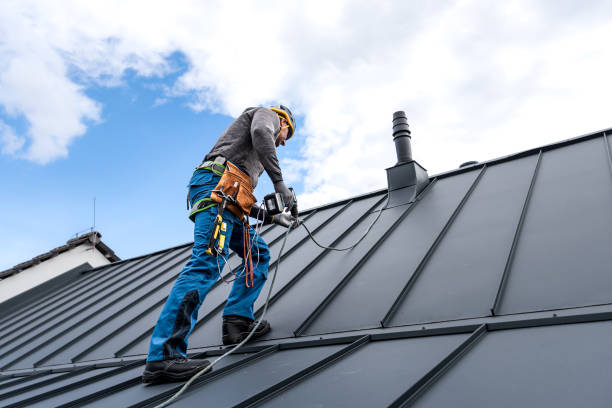 Best Metal Roofing Installation  in Las Flores, CA